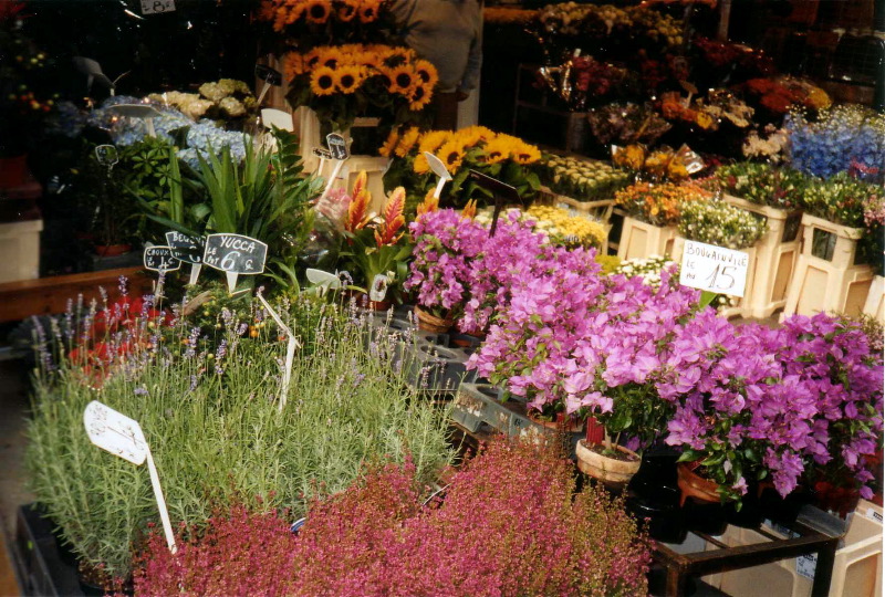 Flowers on Rue Cler