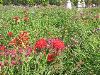 IMG_0578.JPG