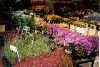 Flowers on Rue Cler