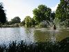 IMG_0081.JPG