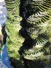 IMG_0085.JPG
