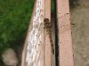 IMG_0189.JPG