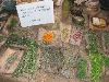IMG_0192.JPG