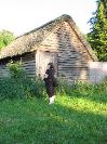 IMG_0231.JPG