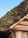 IMG_0232.JPG