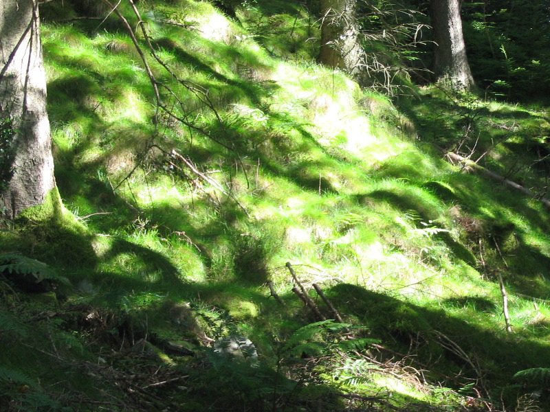 IMG_0298.JPG