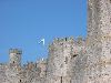 IMG_0257.JPG
