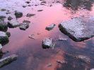 IMG_0368.JPG